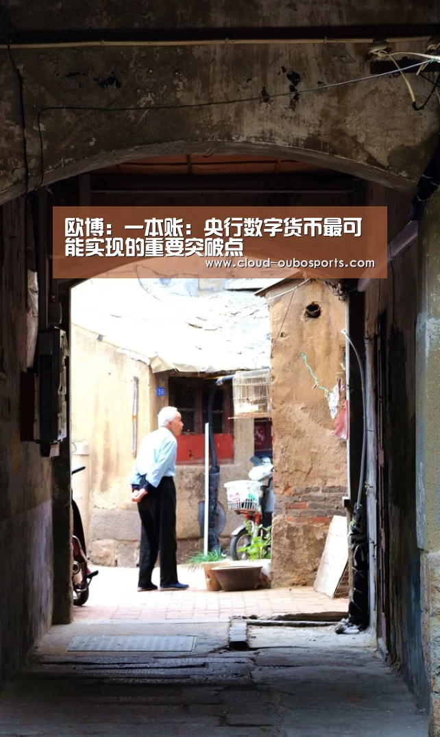 欧博:一本账:央行数字货币最可能实现的重要突破点(图4) net欧博官网