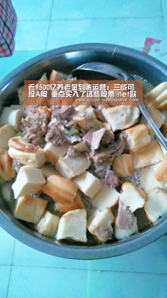 net欧博官网