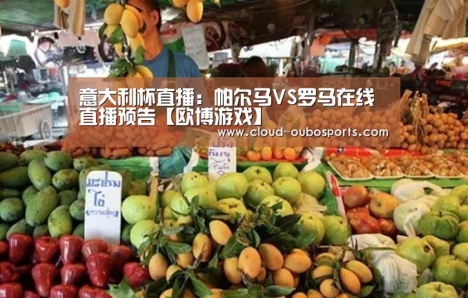 net欧博官网