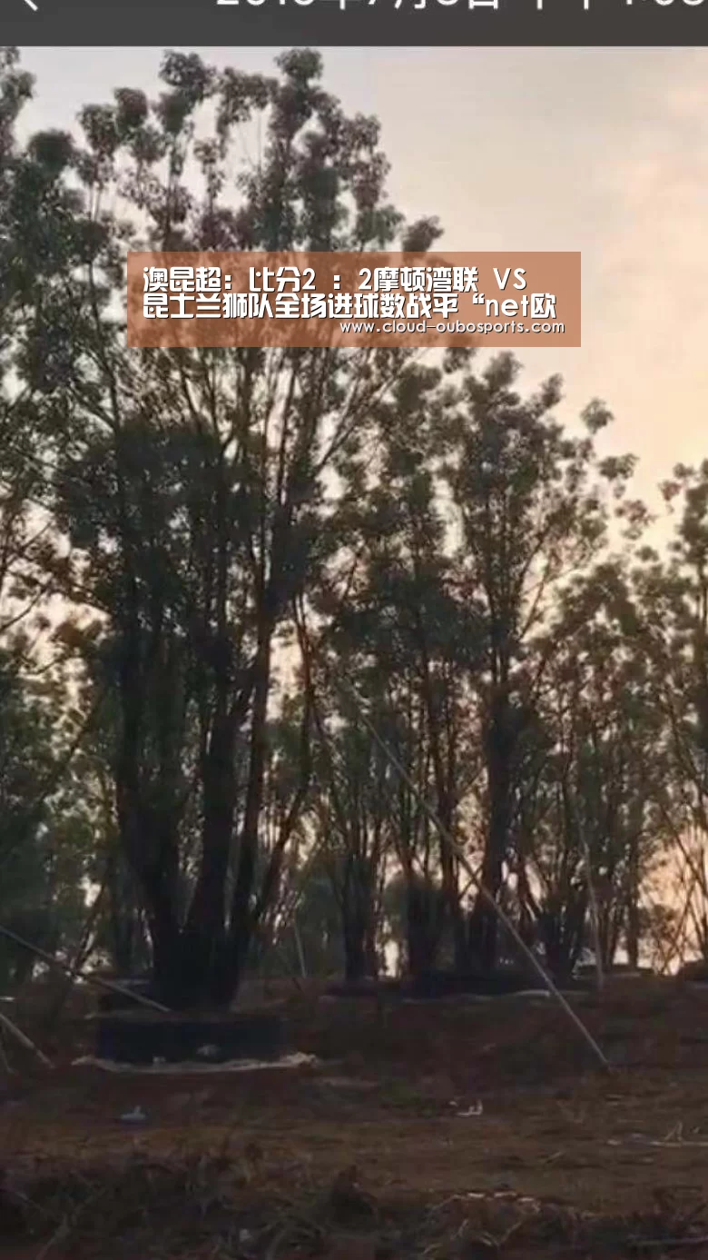 net欧博官网