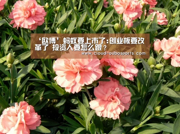 欧博官网